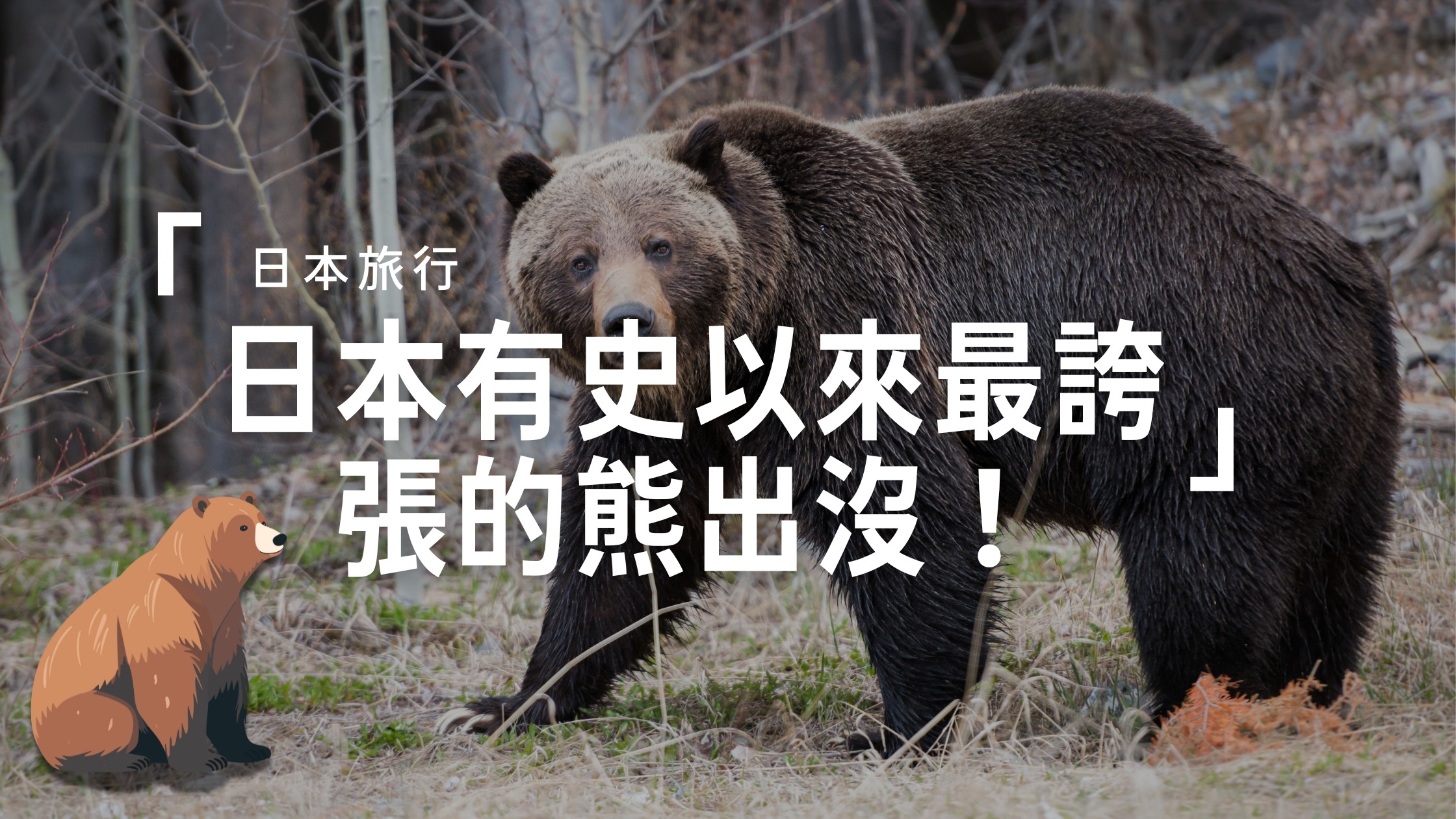 2025年竟是日本有史以來最誇張的熊出沒